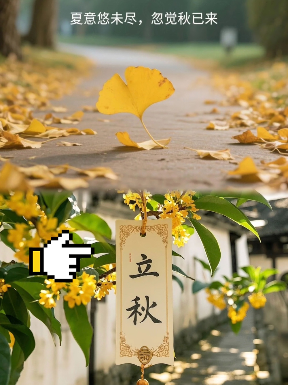 娱乐生活 第70页